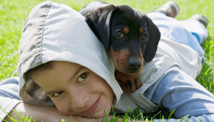 The dachshund is lying on the boy's back.