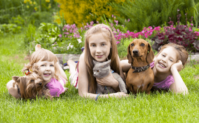 dachshund with kids