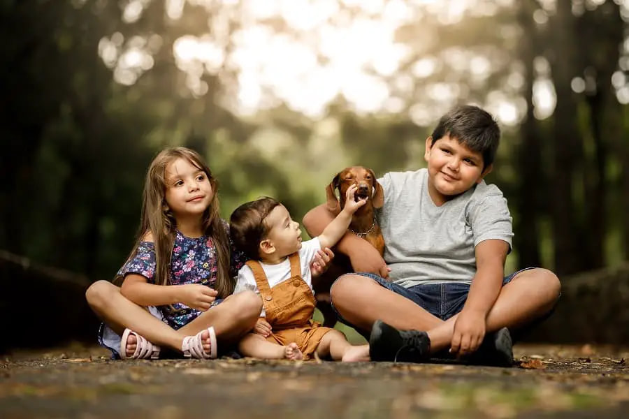 dachshund with kids