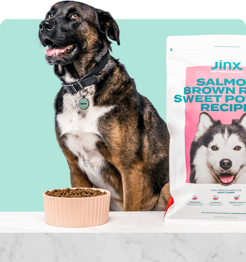 jinx dog food reviews